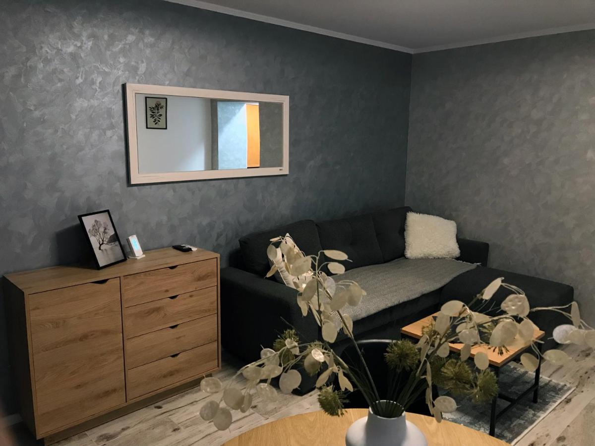 Homely Apartment Suceava Exterior photo
